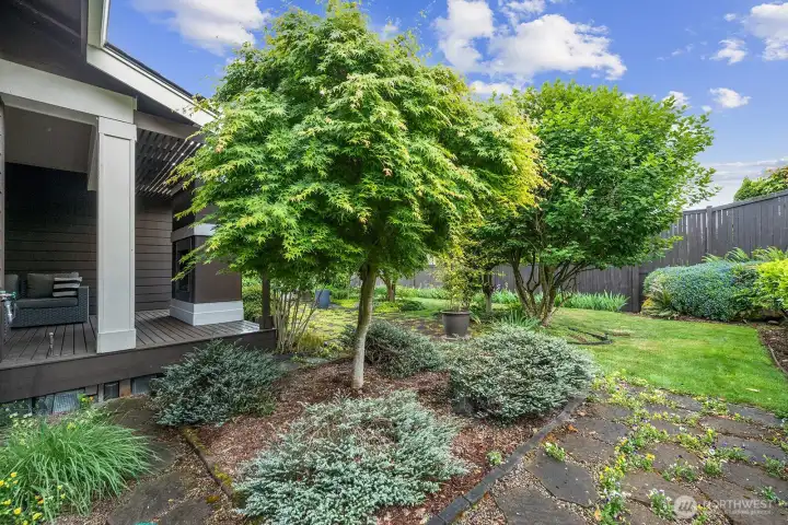 Here pictures of the vegetation all put in by the sellers. The pavers with the flowers filling in the gaps. The trees give privacy.