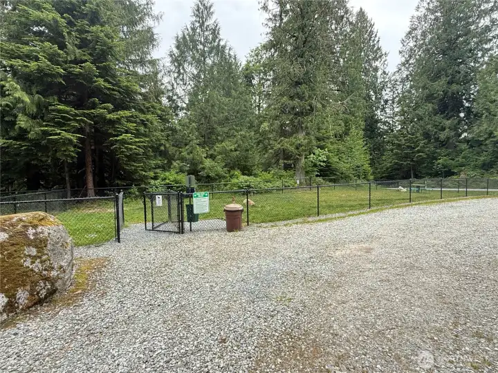Dog Park