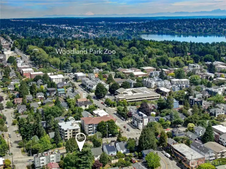 Just a few blocks from Woodland Park Zoo, trails, courts, and play areas Just a few blocks from Woodland Park Zoo, trails, courts, and play areas
