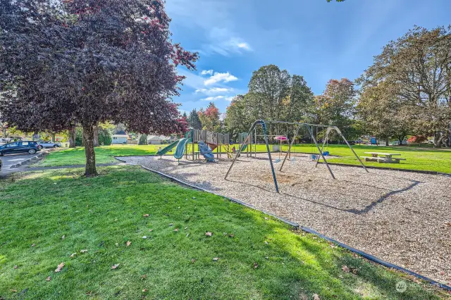 Community Park for the little ones, pets or those days you'd like a bit more open space to play catch