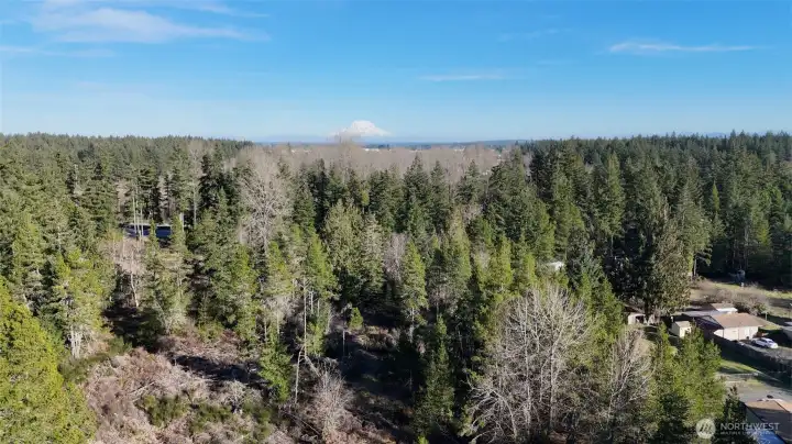 Looking Easterly toward Hwy I-5 (See Mt Rainier in background...)
