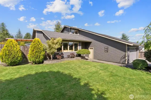 Large, shady front yard
