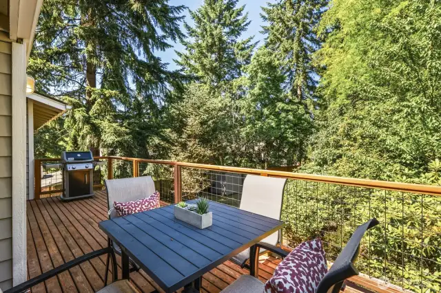 Alfresco dining off the kitchen