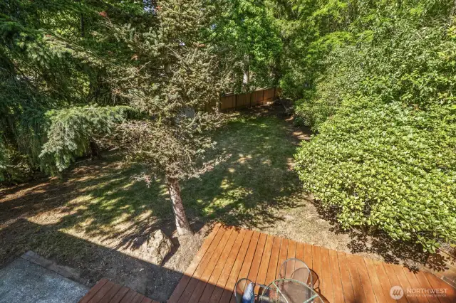 Huge yard and second deck