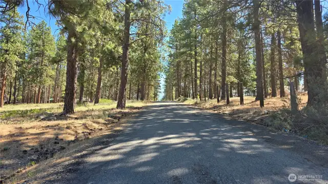 Paved road heading up to the property on the left.