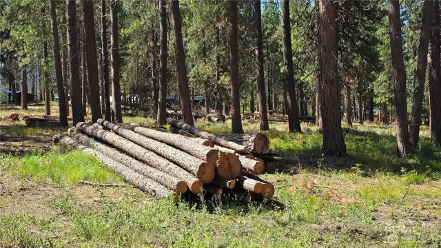 Seller has done a tremendous amount of tree clearing providing for multiple future building sites.  Most cut timber has been removed.  Some remain for buyer to utilize.