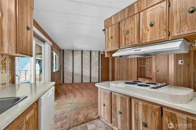 So much cabinet space!