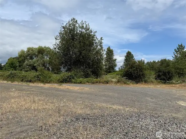 Looking northwesterly across the lot.