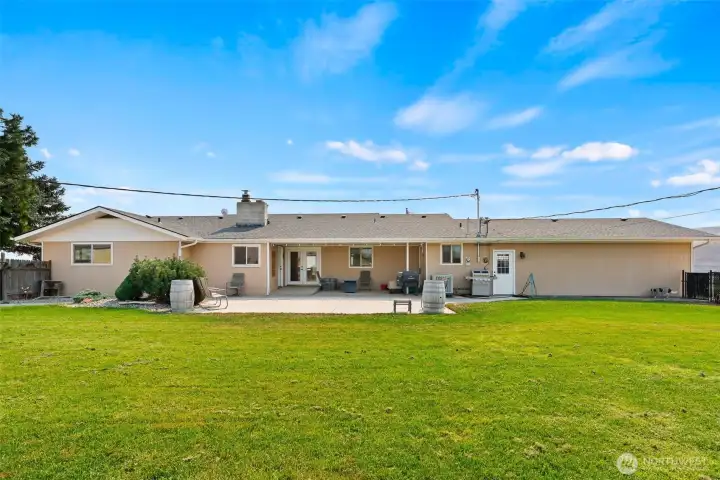 large, fence back yard