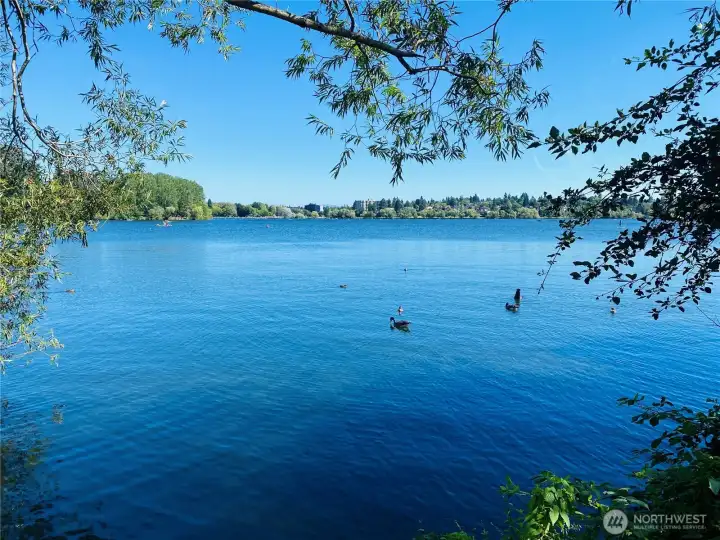 Close to Green Lake, a vibrant urban oasis that's perfect for a quick run, jog, or afternoon on the water.