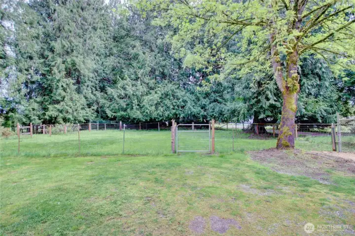 Plenty of space into the pastures