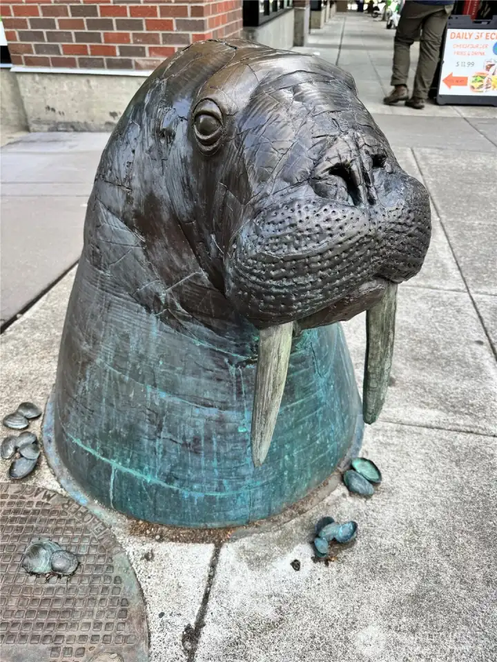 Take a stroll & say "hi" to the Wallingford Walrus on your way to shops & dining.