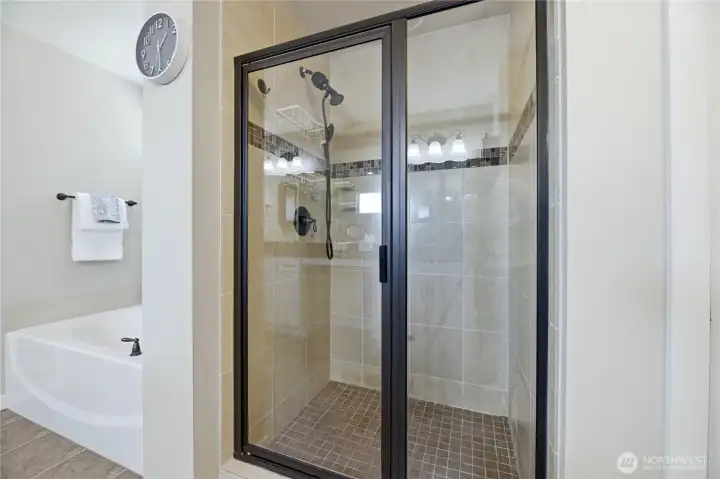 Primary bathroom shower.