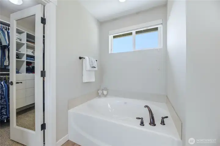 Primary bathroom soaking tub.