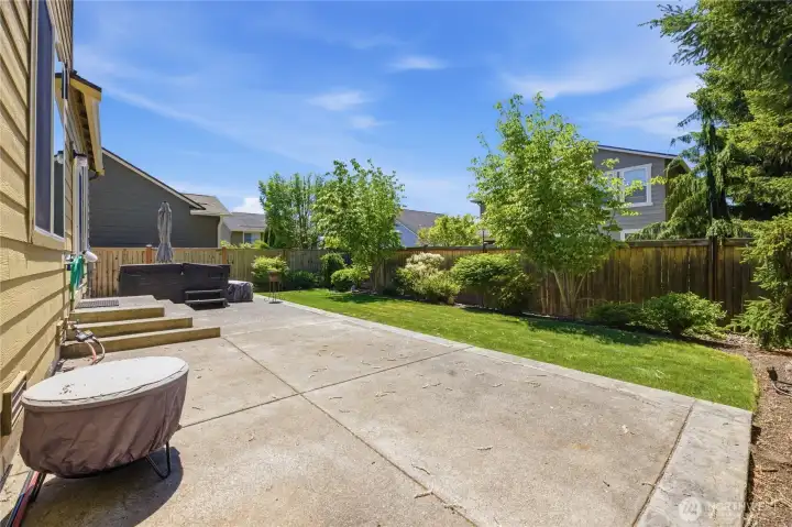 Backyard looking at patio and lawn.