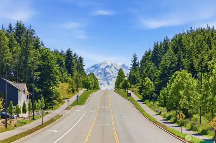 Mount Rainier