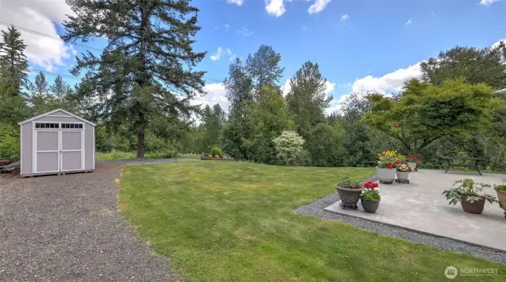 North facing shot of the back yard.