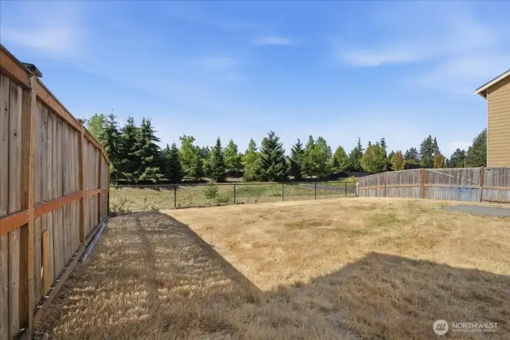 Huge Backyard. Huge Backyard.