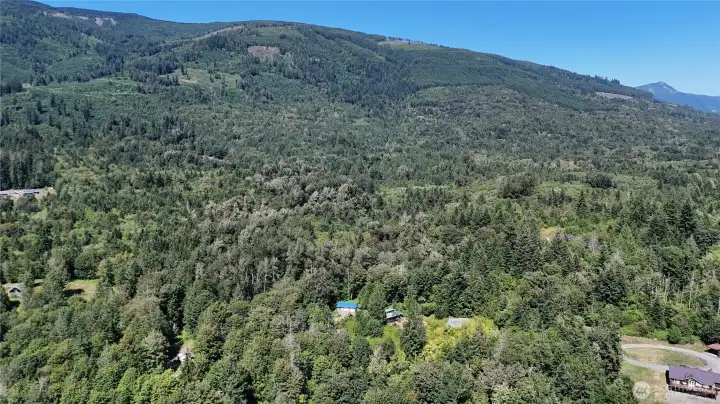 20 acres of forest and natual setting on Bacus Hill. Just minutes from town and all aminities.