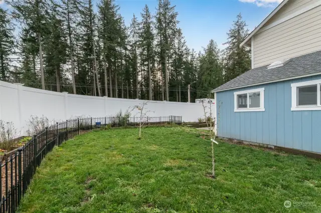 Looking toward the park from the side yard. The smaller fence was there to help keep the furry ones out of the flowers. :)