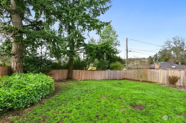 Large & level FULLY FENCED backyard area