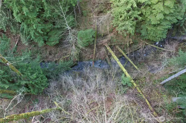 Picture of creek from lower half of property that leads to Lake!