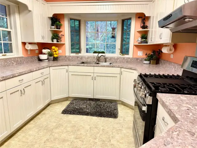 Bright kitchen w/ tons of natural lighting and new gas stove!