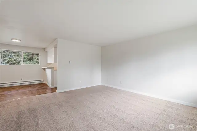 loads of natural light