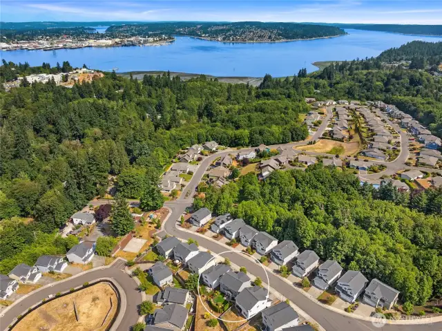 Aerial of the Neighborhood