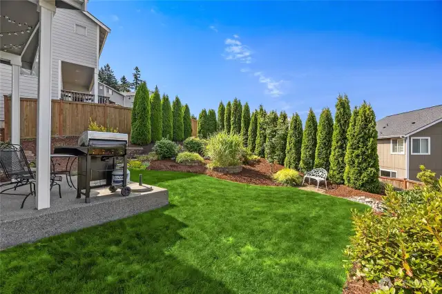 Stunning backyard