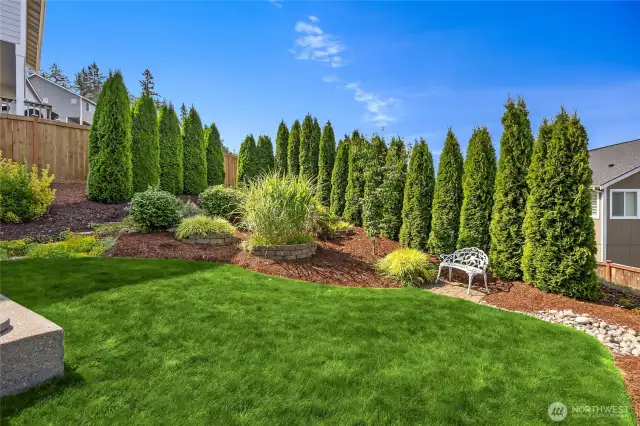 Backyard is meticulously cared for. . . .