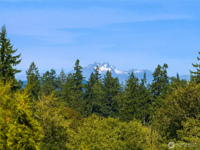 Lovely Mountain Views from the Backyard