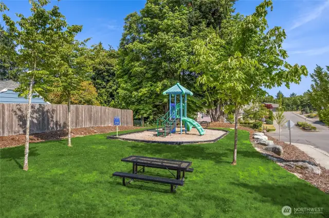 Community Playground