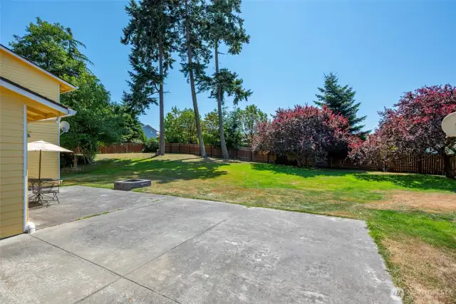 Expansive backyard.