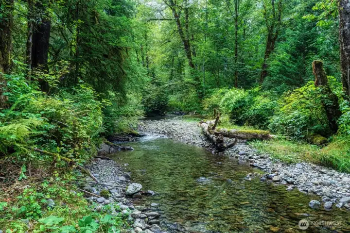 Situated on the banks of the creek!