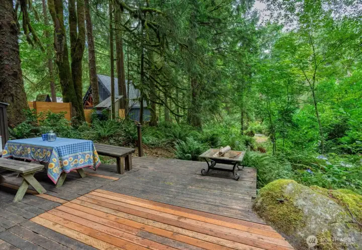 Large entertainment deck overlooks the creek with mossy boulders, colorful hydrangea and ferns.