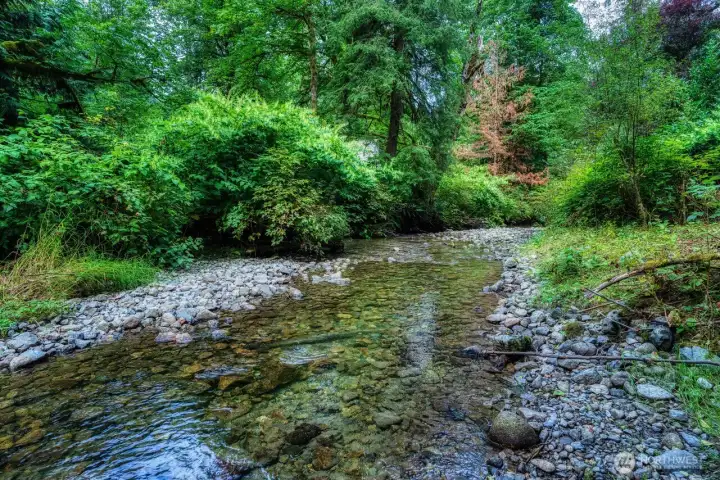 Beautiful creek frontage ~ salmon will be spawning soon!