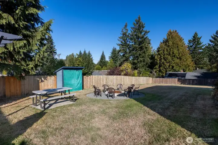 fire pit and spacious back yard