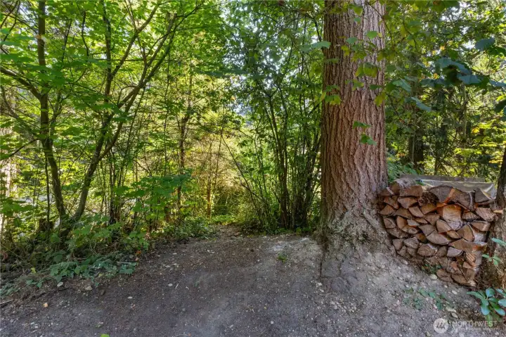 Your own, private trail to access the lake and park.