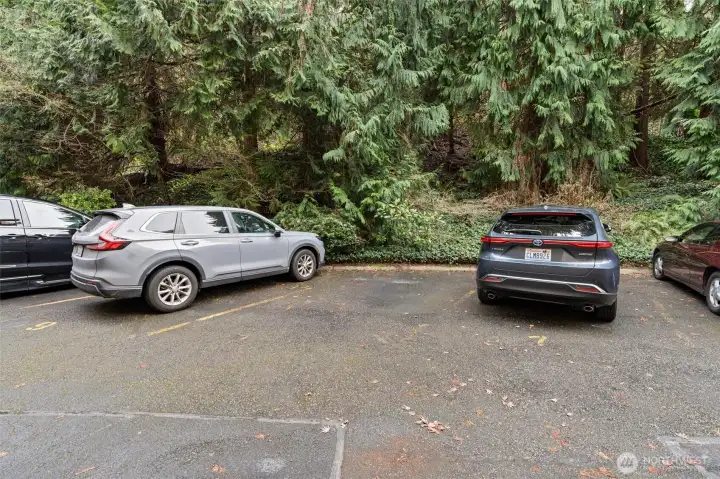 Reserved parking space #8 is designated for Unit #204. Additional guest parking is typically available on the street, providing convenient options for visitors.