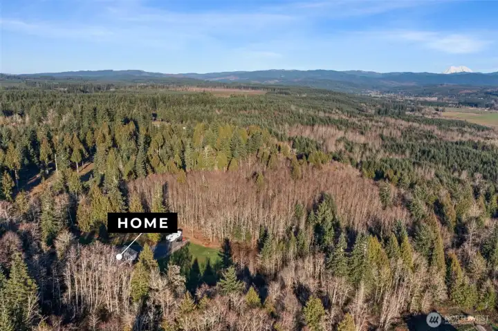 PNW living at it's finest!