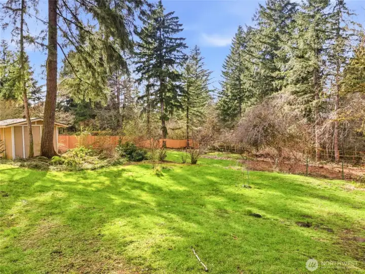 REAR YARD - Terraced Lawn, new wood fencing, Shed on left.