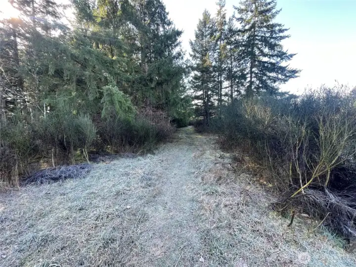 Currently working with the county to see if a gravel road could be put in.