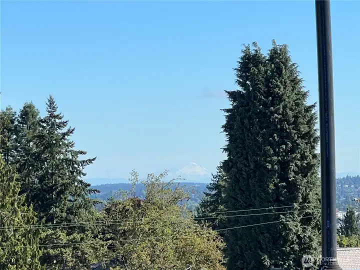 From the Rooftop Deck