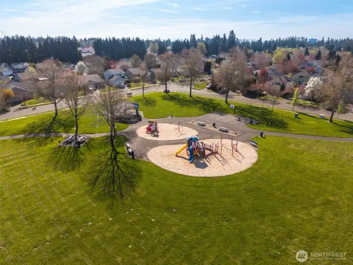 Community park is a great place to join with friends to play.