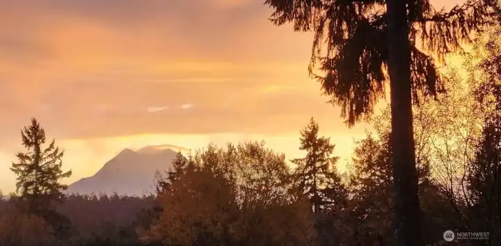 MT RAINIER VIEW FROM OUT LAST STREET IN THE RESORT