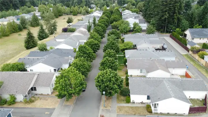Division st view