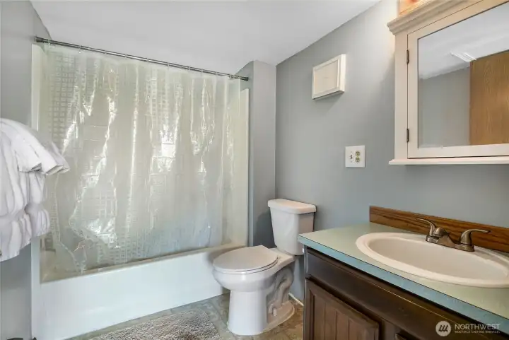 Lower level full bathroom