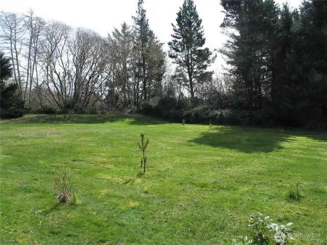 Large Yard