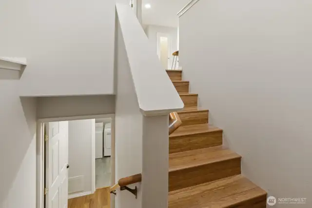 Let's check out the downstairs!